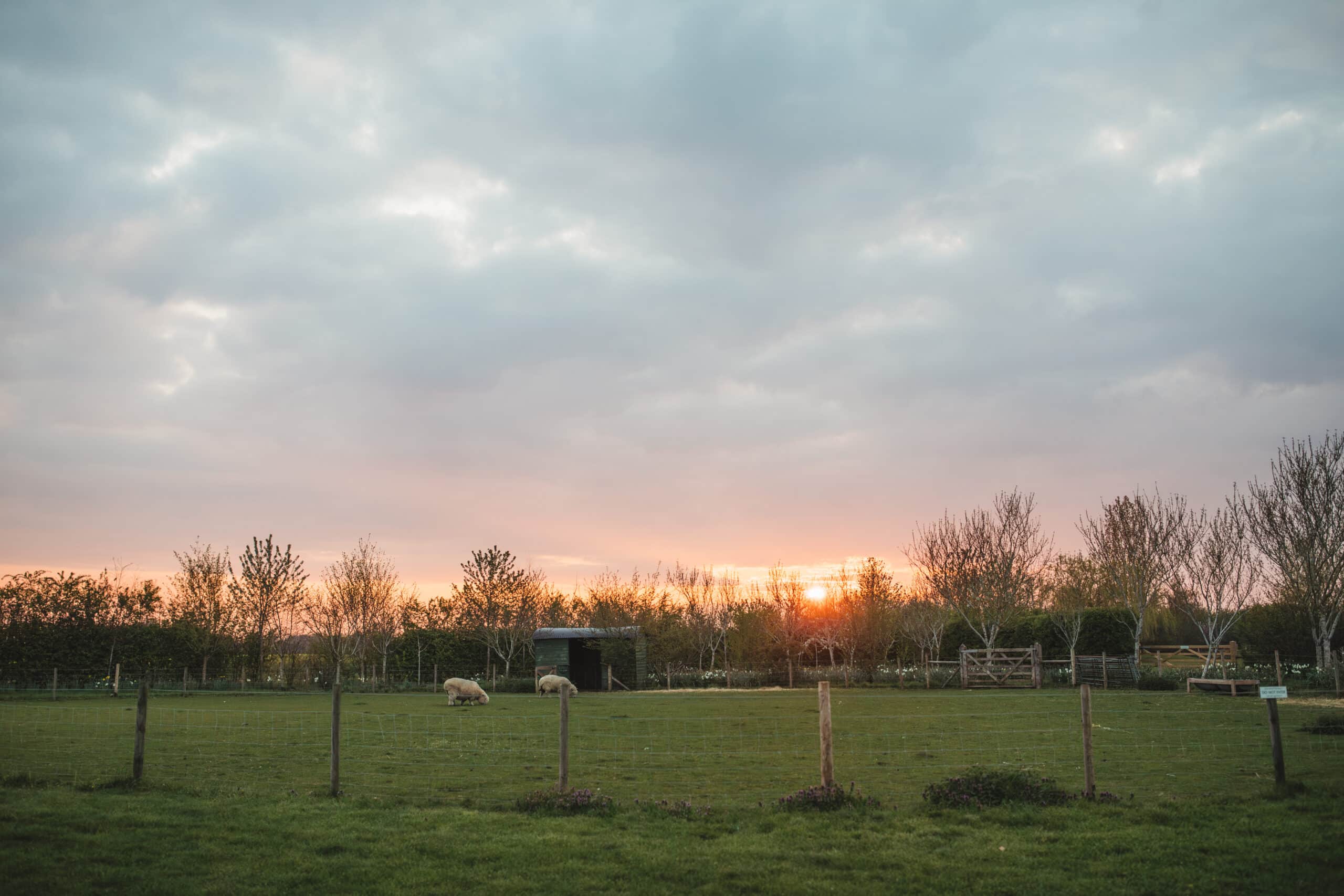 Spring wedding at country house wedding venue