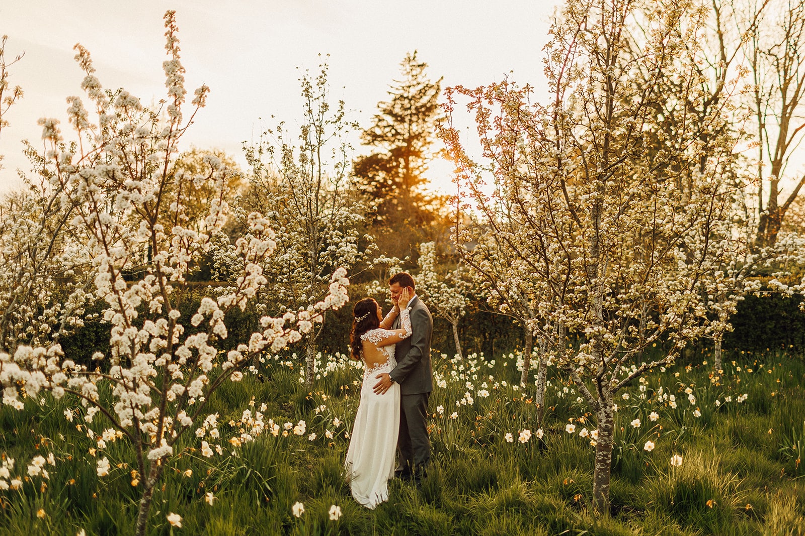 Bride and Groom in the arboretum filled with blossoms at Golden Hour at Farm wedding venue
