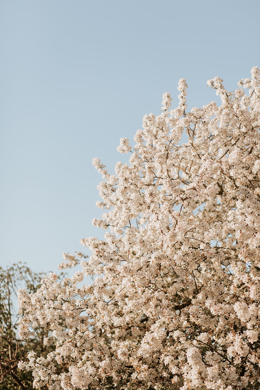 Spring Garden Wedding Countryside Venue