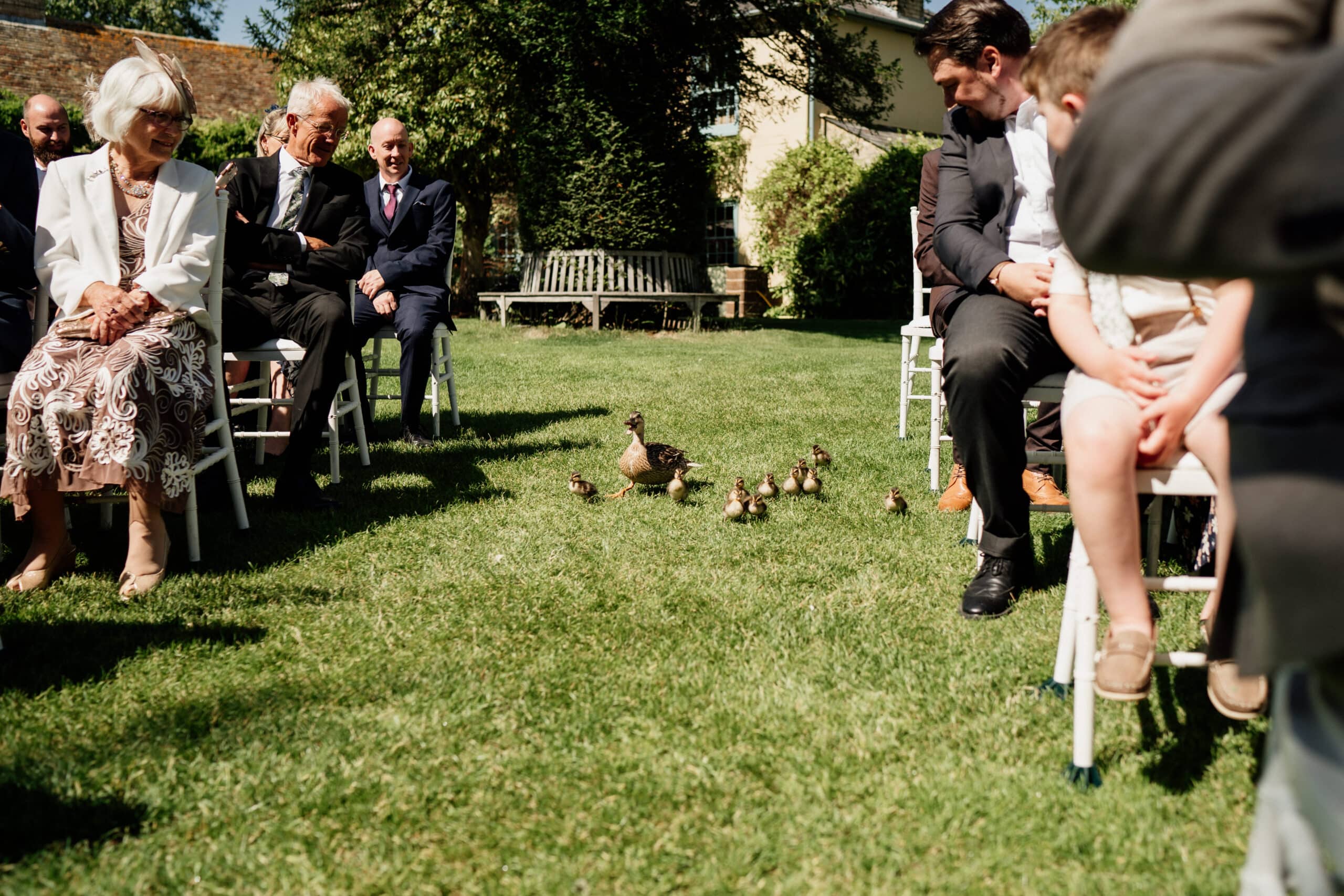 Little baby ducklings waddling down the aisle at countryside wedding venue