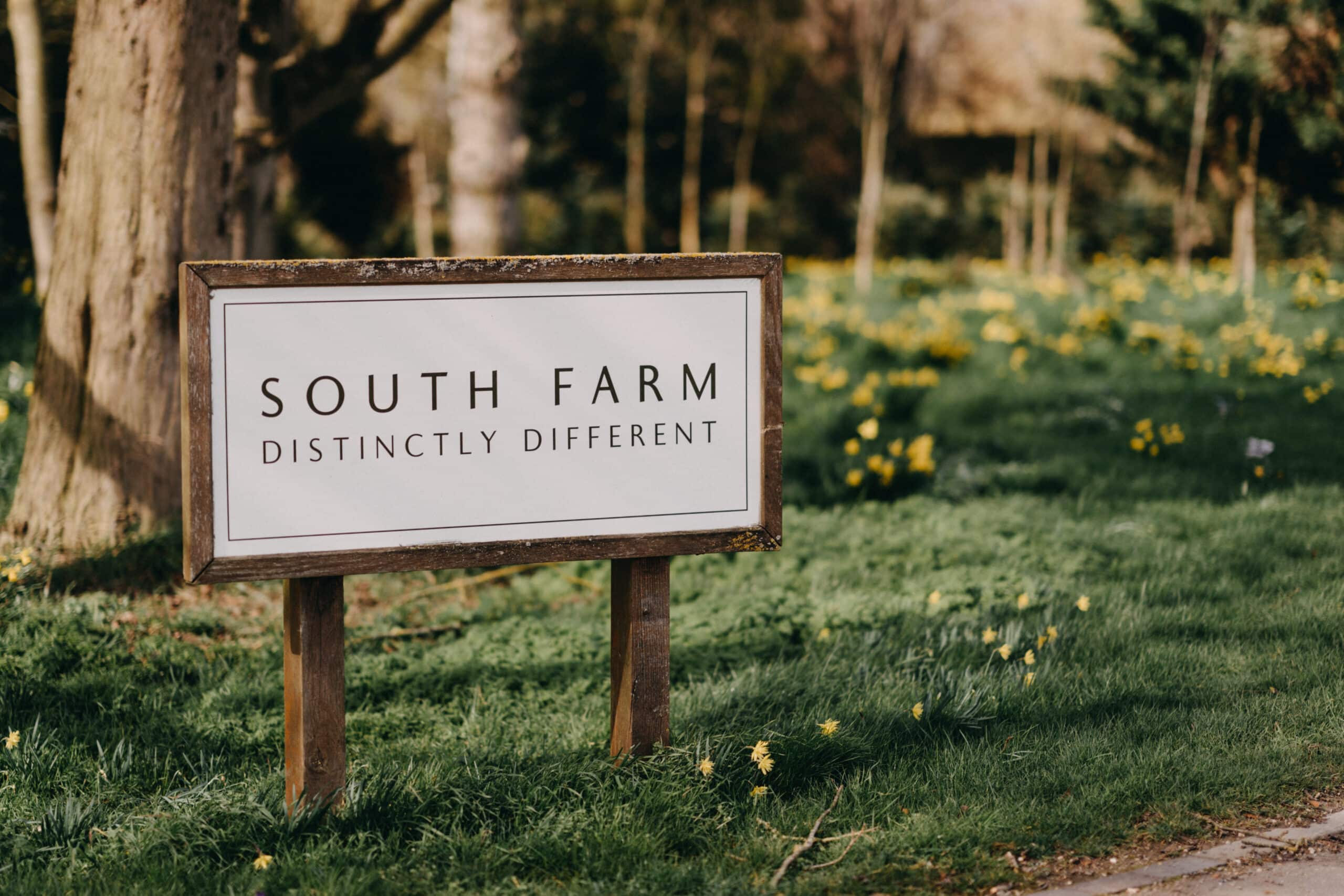 South Farm signage with daffodils in the background barn style wedding venue in Hertfordshire