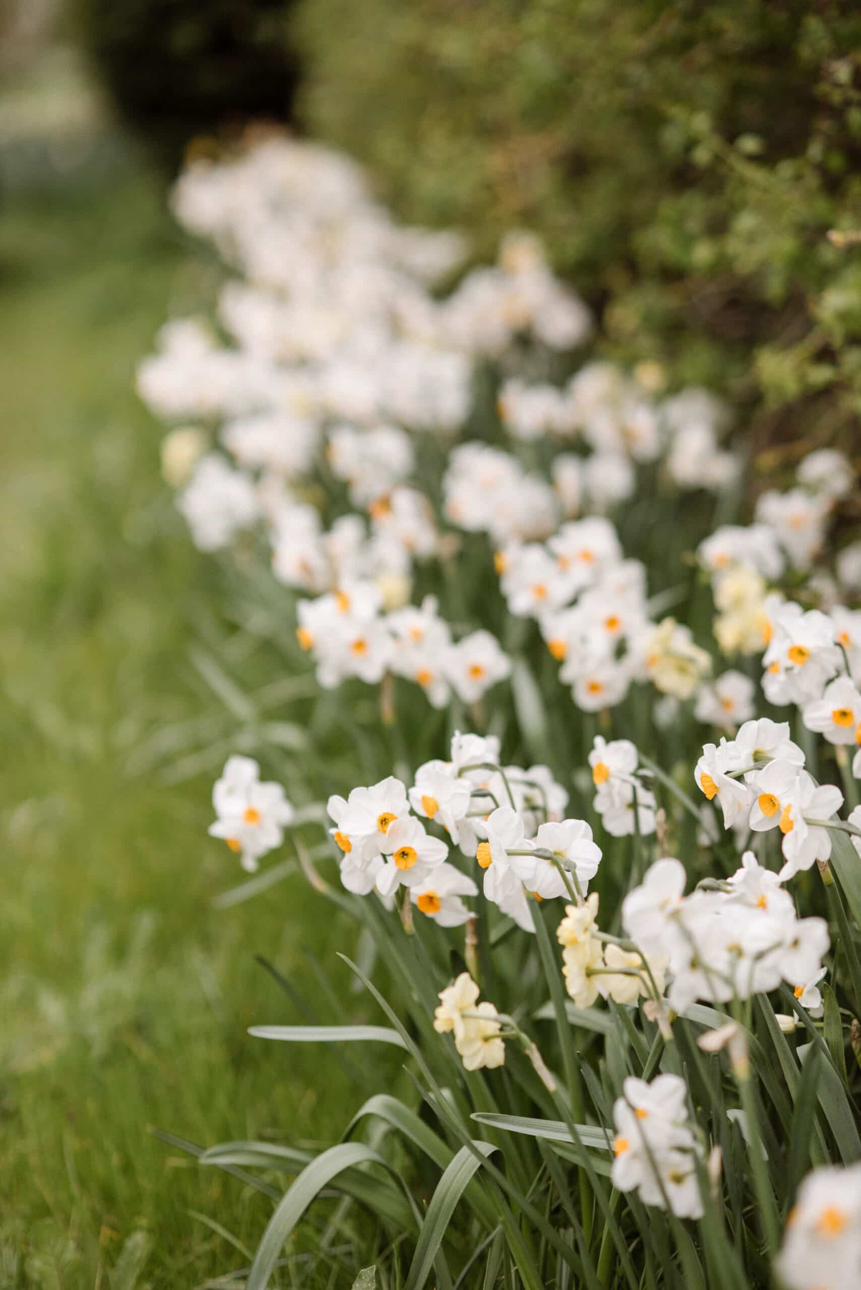 Spring wedding at country house wedding venue
