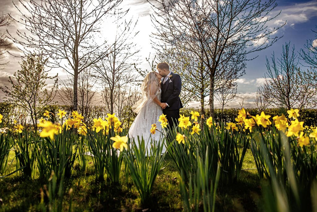 Spring wedding garden at outdoor wedding venue as bride and groom stand in field of daffodils surrounded by trees under and bright blue sky