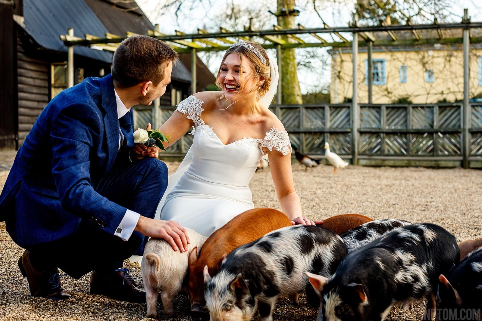 Happy couple at South Farm Wedding Bride and Groom with piglets
