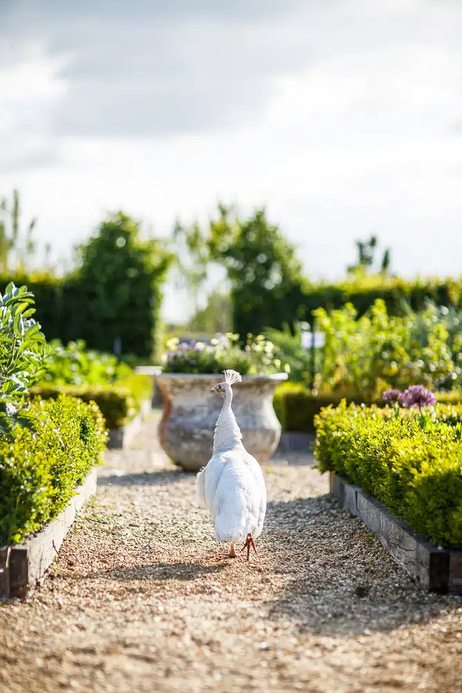 Farm Wedding Venue Cambridgeshire