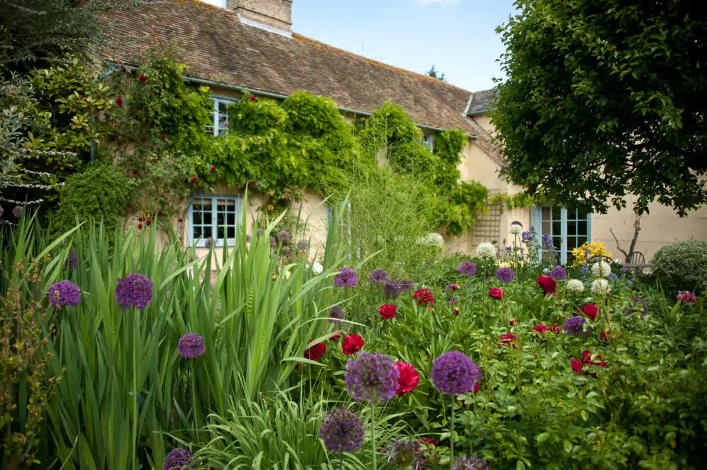 Gardens at South Farm with colourful pink and purple blooms