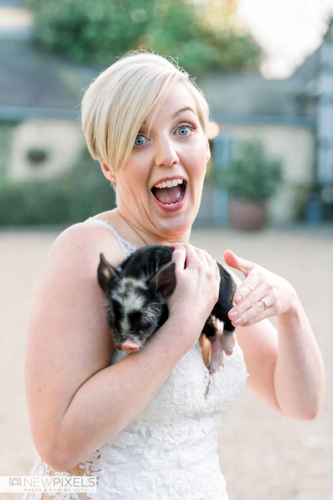 South-Farm-Wedding-with-animals-Bride-and-piglet-at-farm-wedding-New-Pixels-Photography