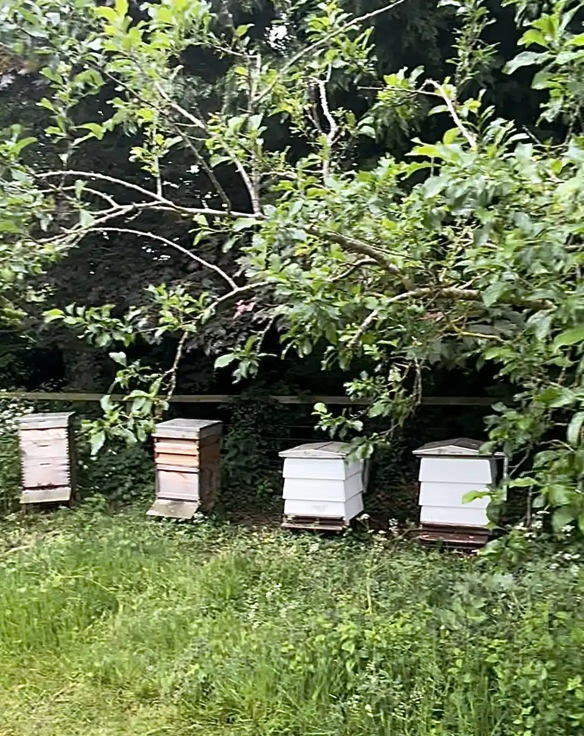 Bee Hives at South Farm Wedding Venue