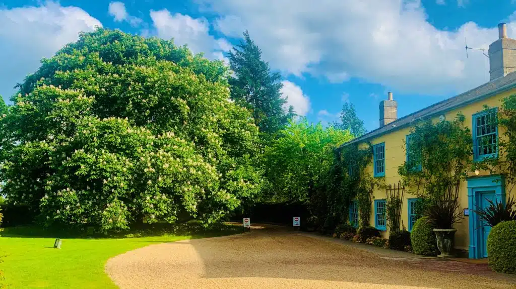 Image of South Farm Conker tree at wedding venue