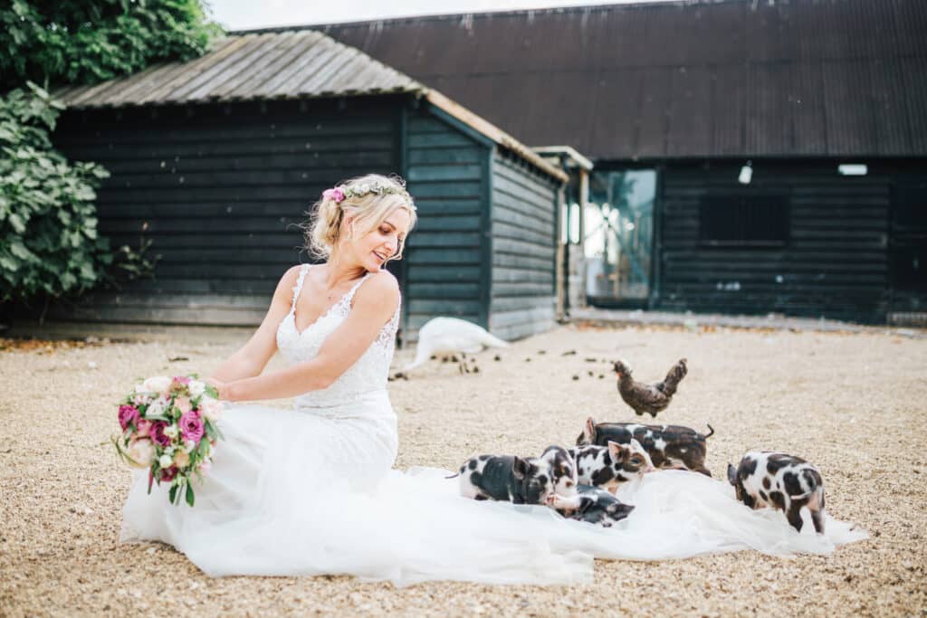 Bride at farmhouse wedding venue with piglets