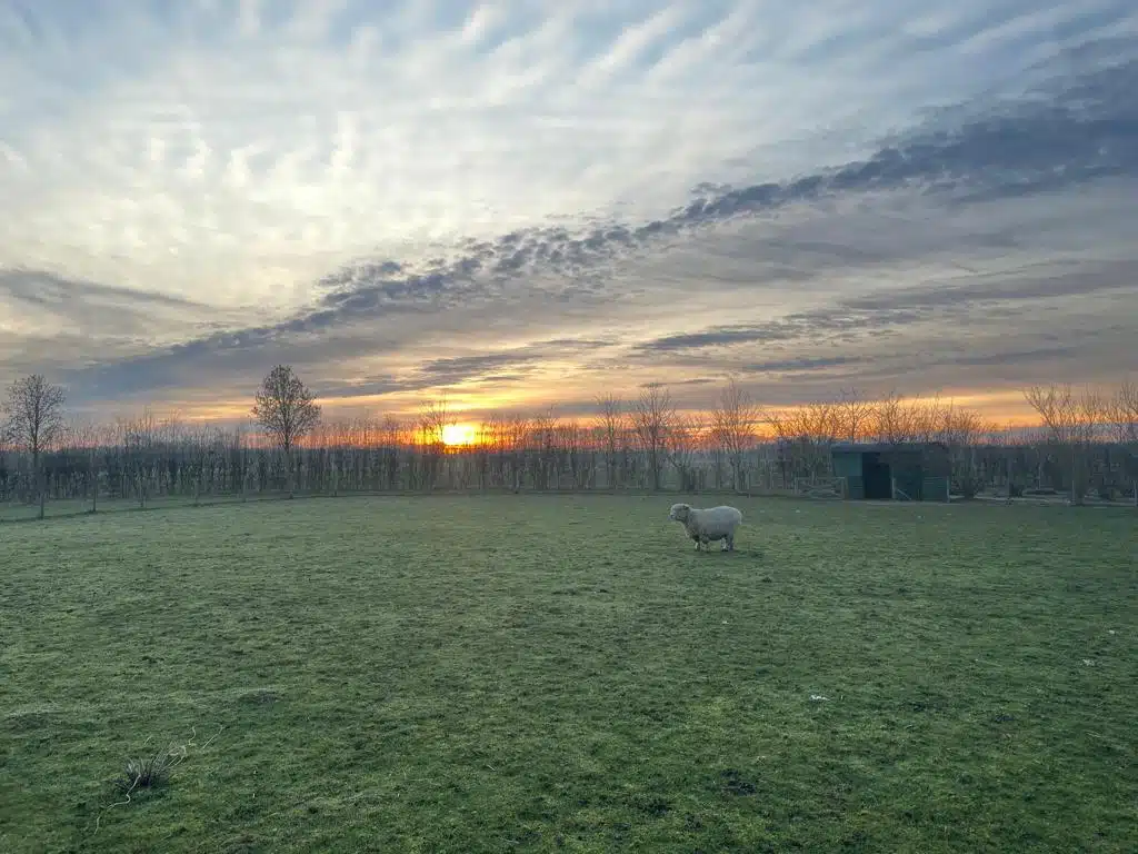 Beautiful Sunset at Farm Wedding Venue