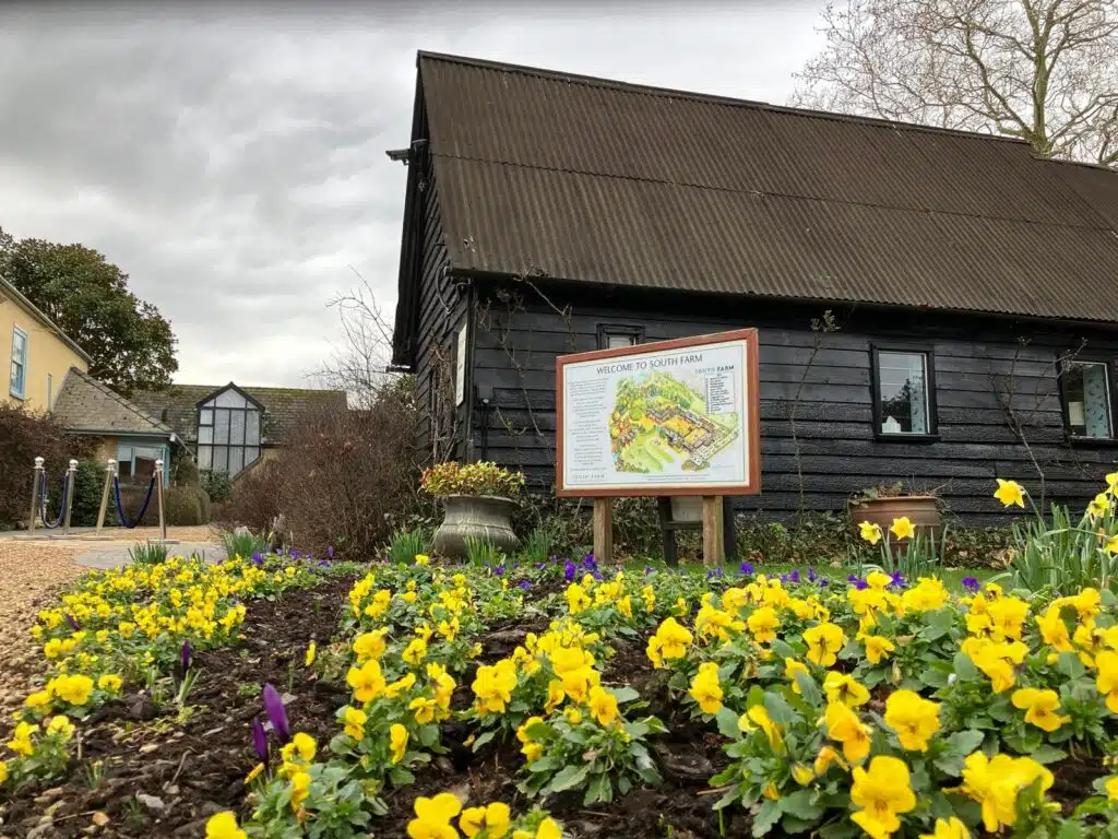 Colourful yellow spring blooms at barn wedding venue 