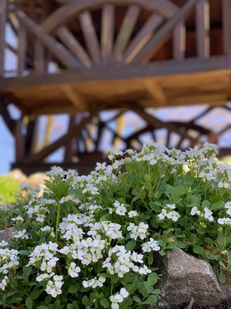 White flowers at garden wedding venue 