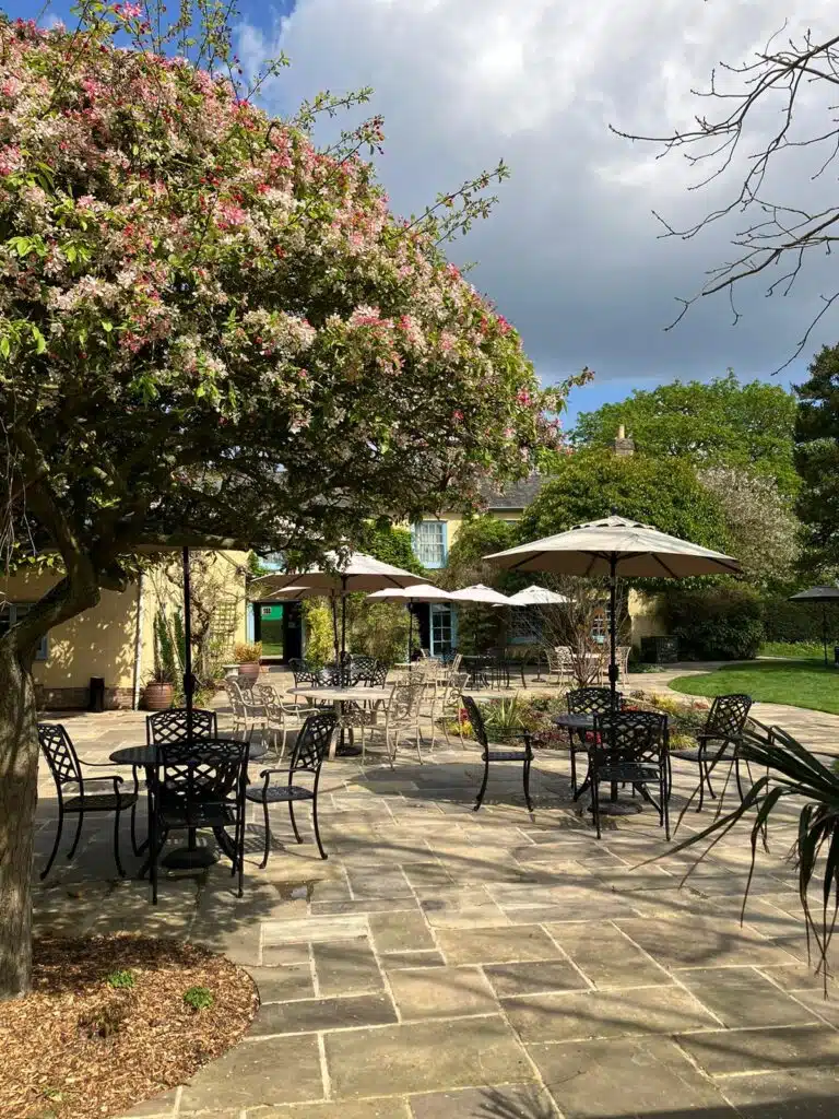 Spring Garden wedding with blossom tree on patio