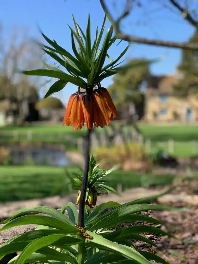 Wedding Venue with flowers in the foreground