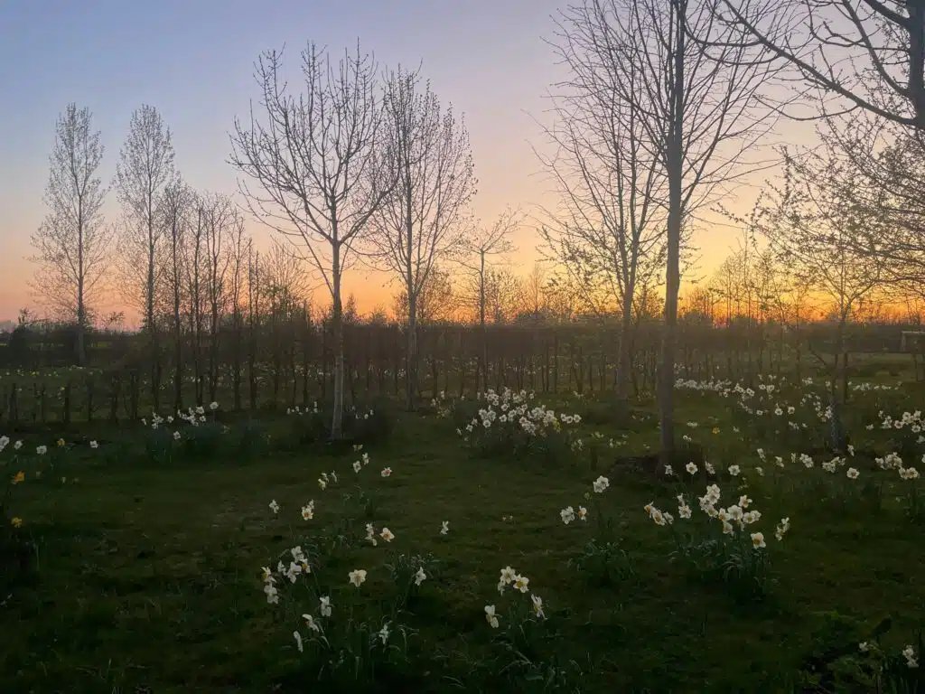 Sunset at farm wedding venue