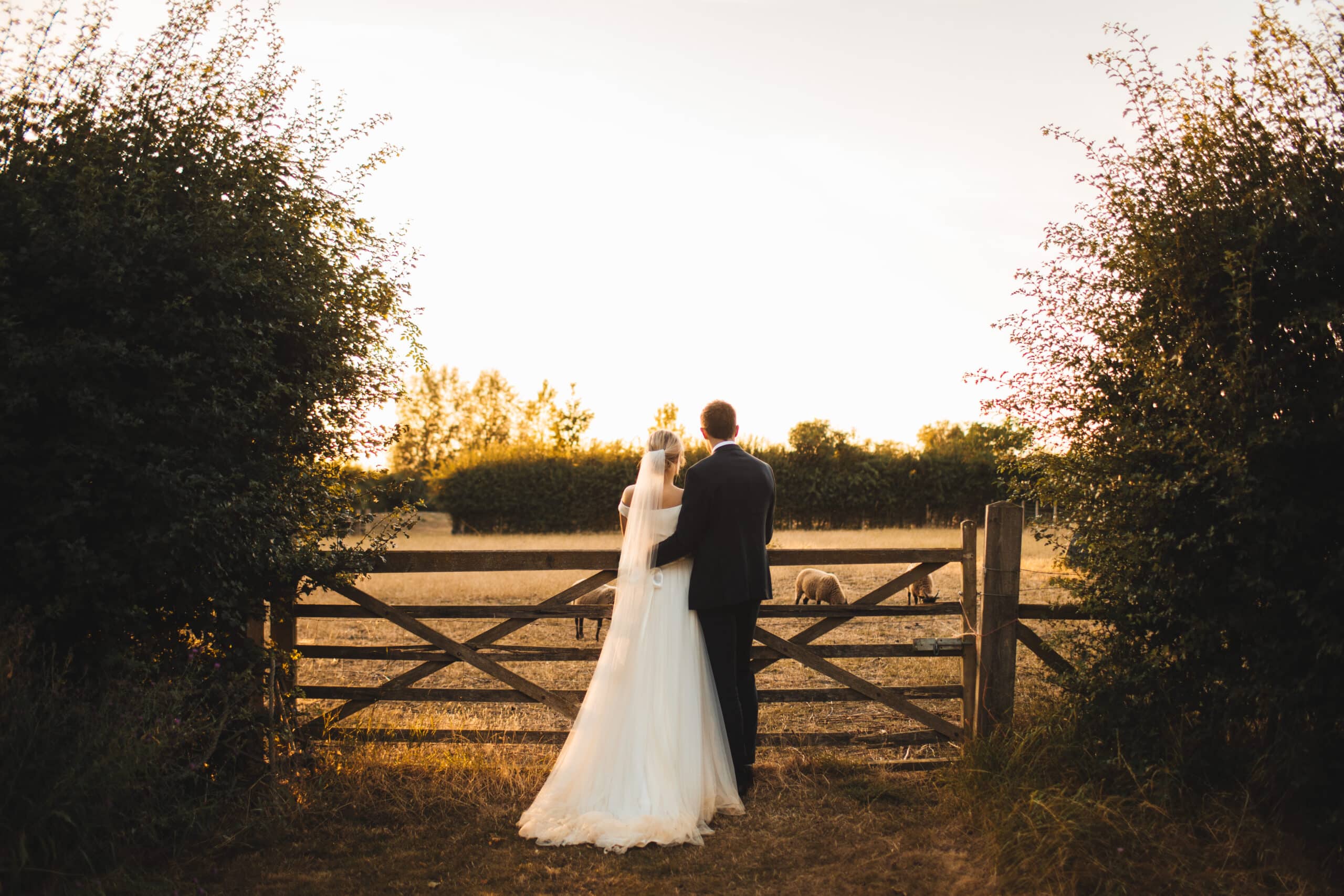 Farm Wedding Bride and groom overlooking gate with sheep in paddocks