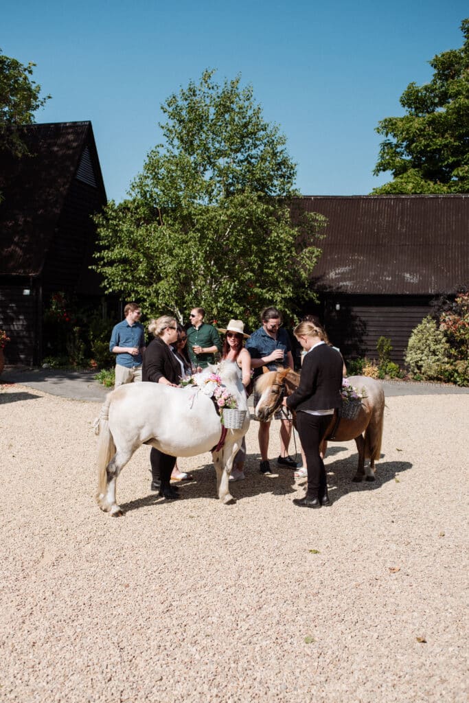Ponies at Garden wedding venue charity event on a summer day