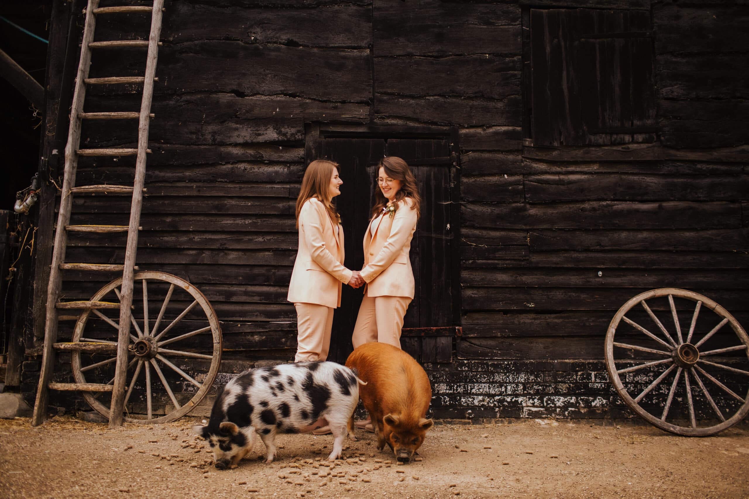 Same Sex wedding two brides in pale pink trousers suits at farm wedding venue in front of piglets
