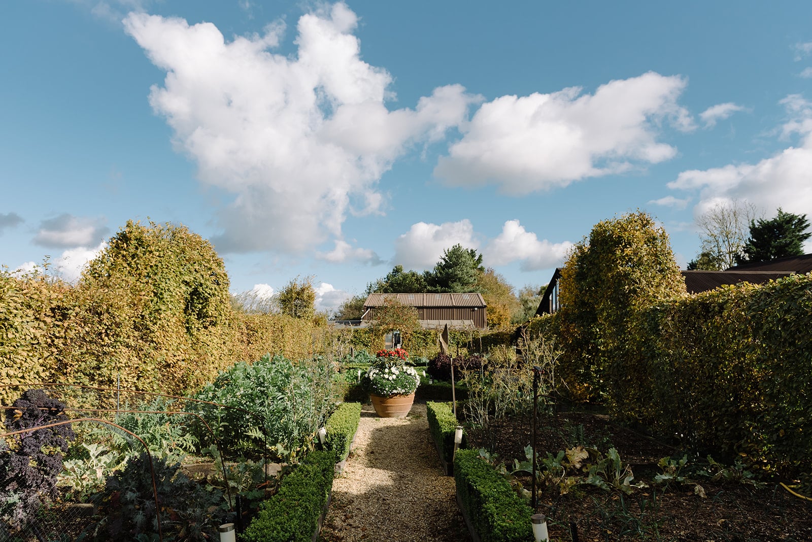 Kitchen Garden on a Sunny Day at South Farm