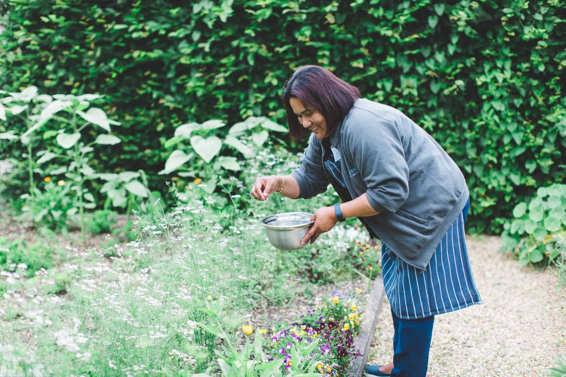 Picking fresh herbs from small holding - supplies our wedding food