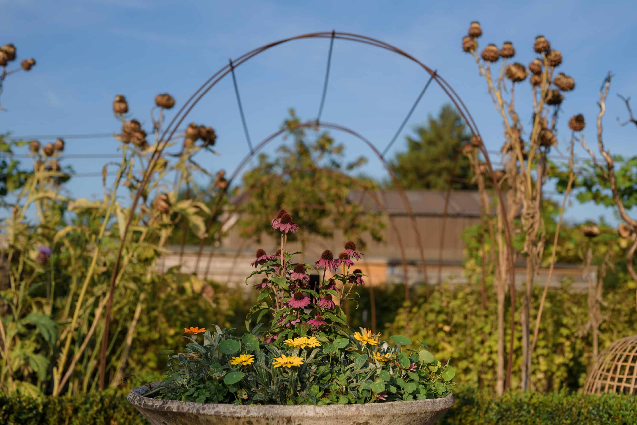 Farm Wedding Home Grown Produce