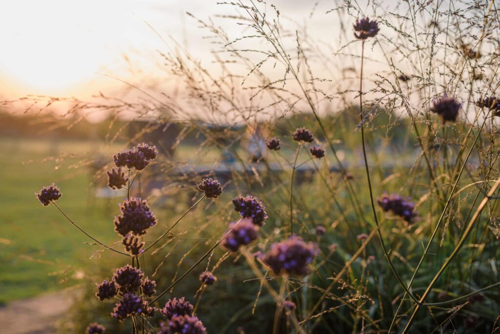 Countryside Garden Wedding