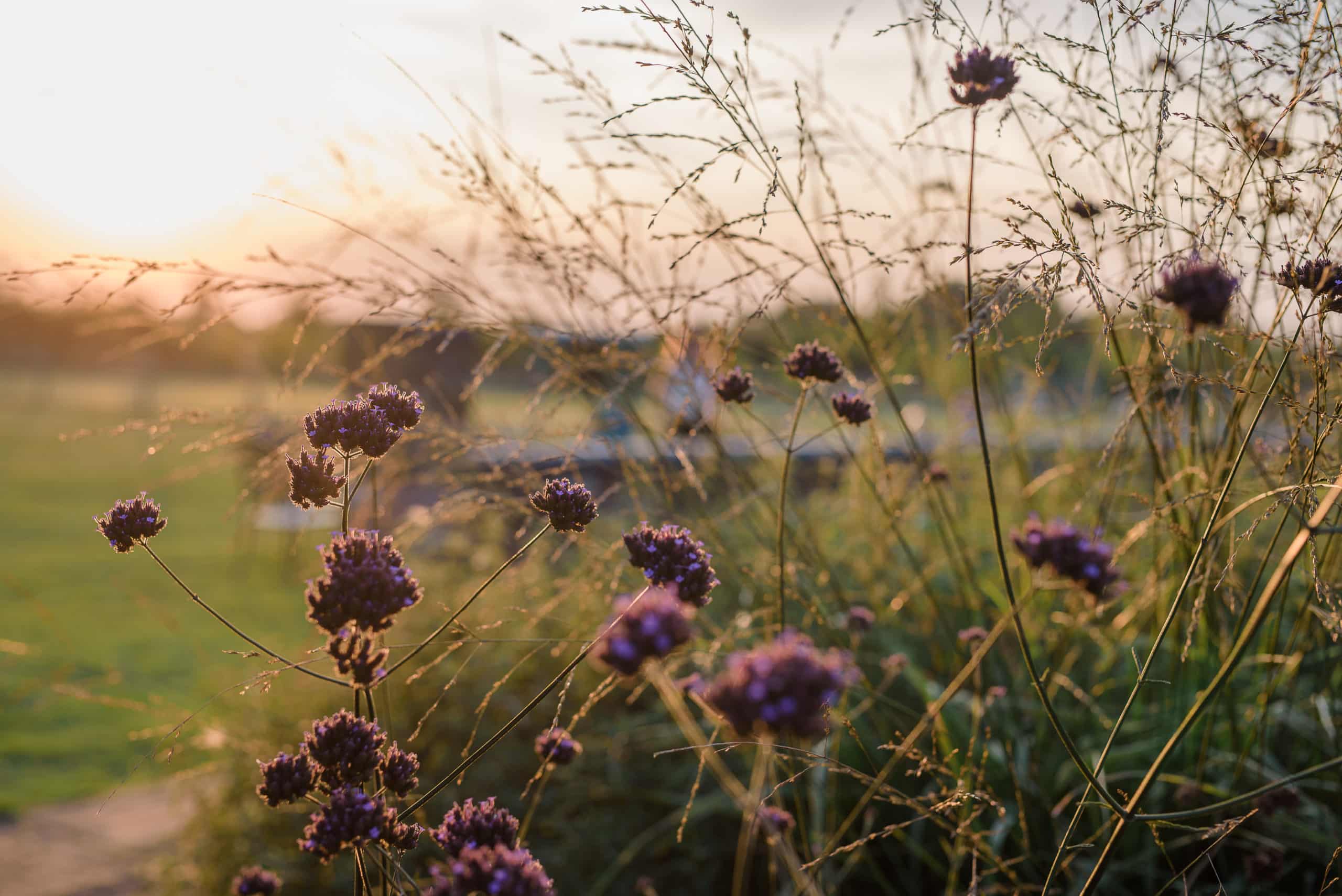 Countryside Garden Wedding