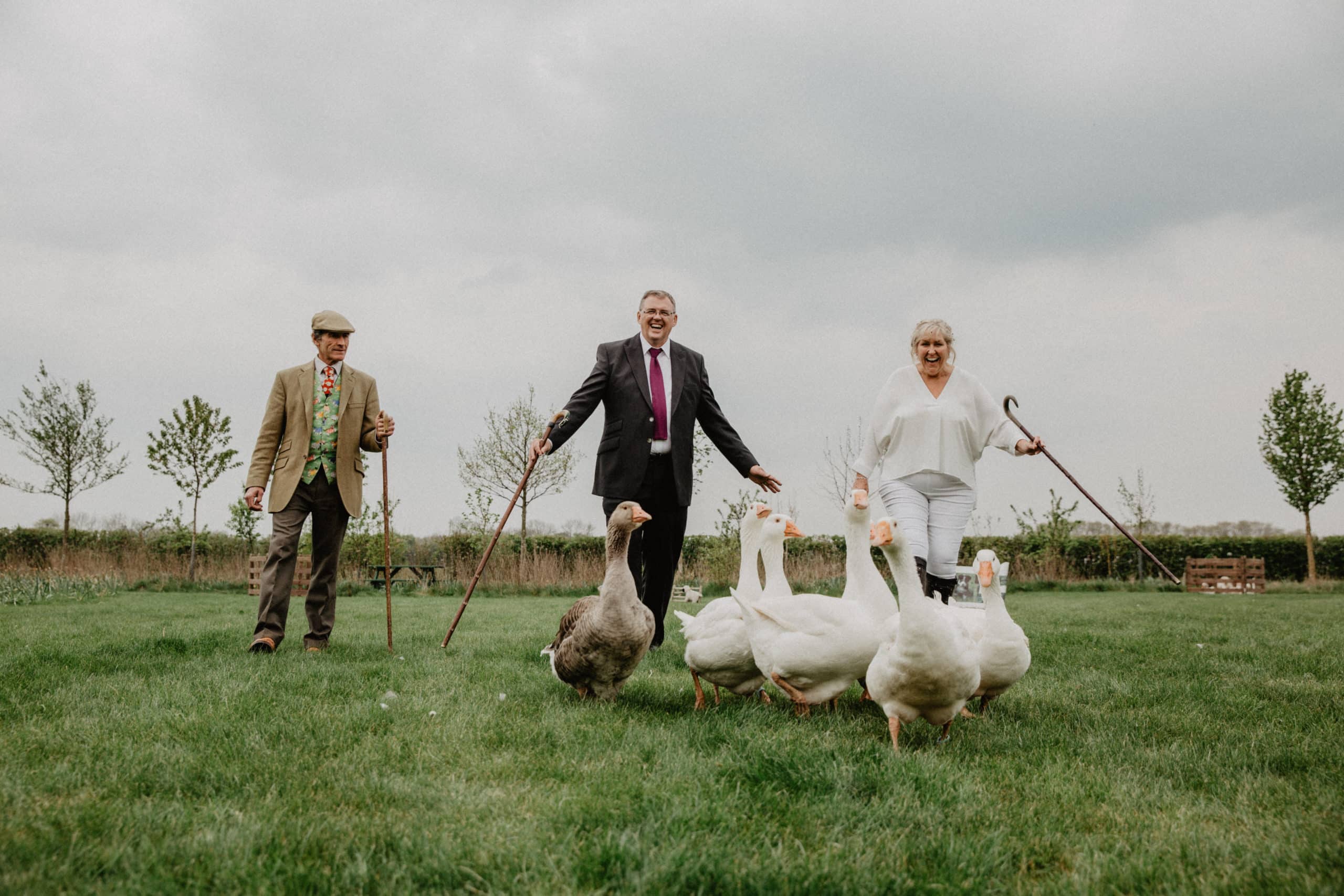 Goose Herding at South Farm Wedding