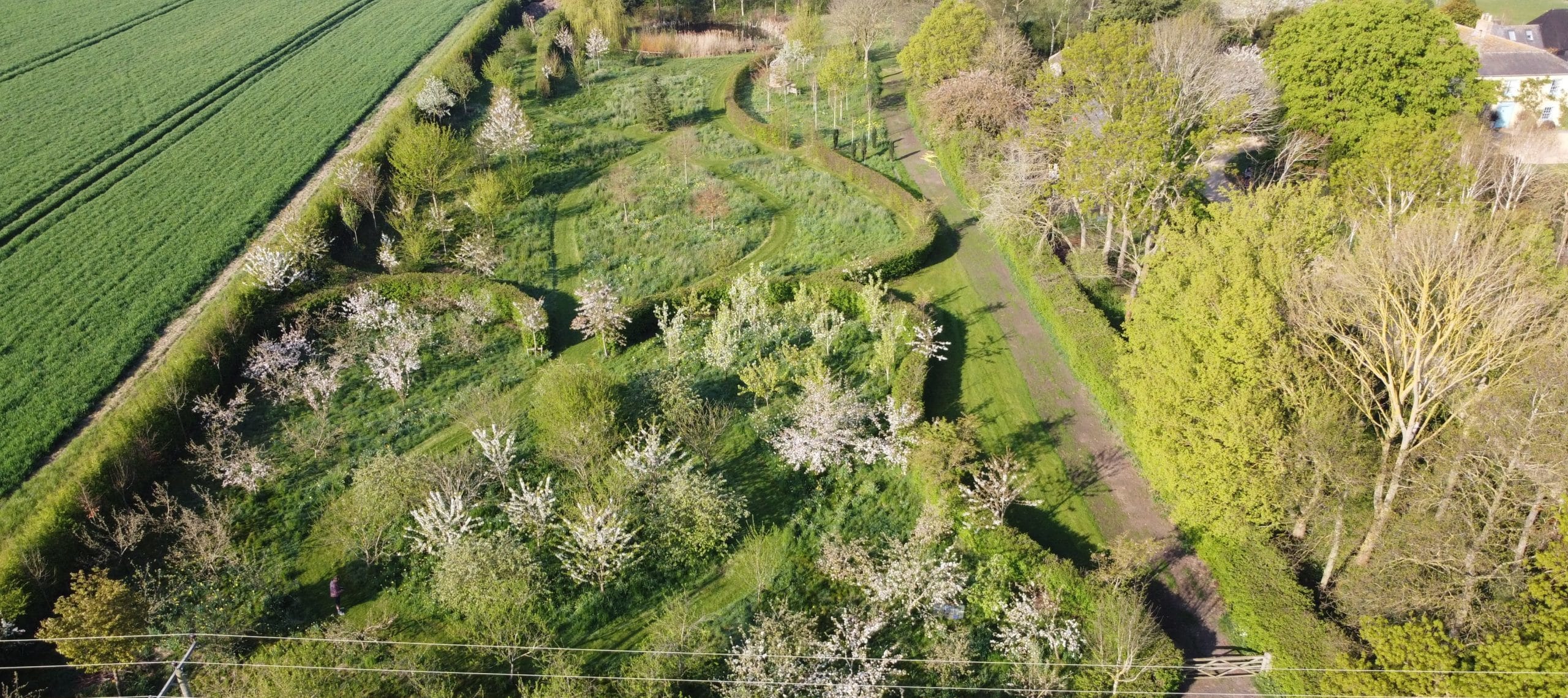 Arial Image of South Farm Wedding Venue Orchards with blossom trees