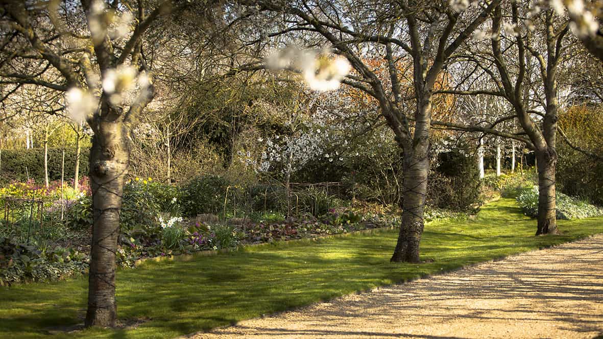 Cambridge Countryside Wedding