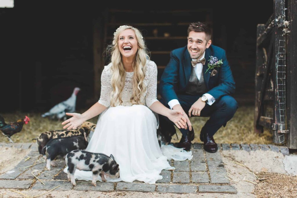 Farm wedding with couple and gorgous piglets