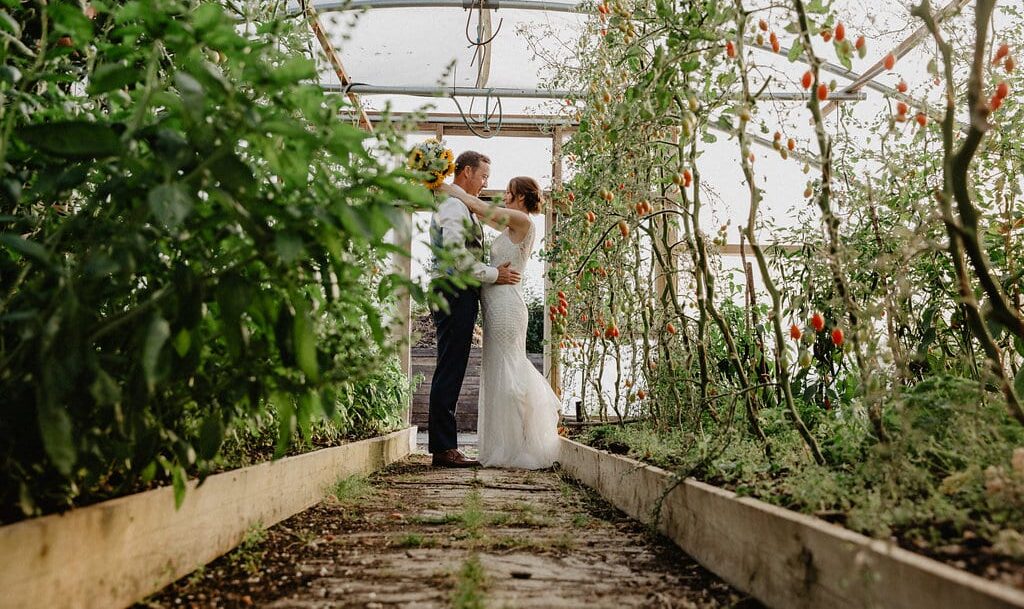 Couple at Farm Wedding Venue in polytunnel full of tomatoes