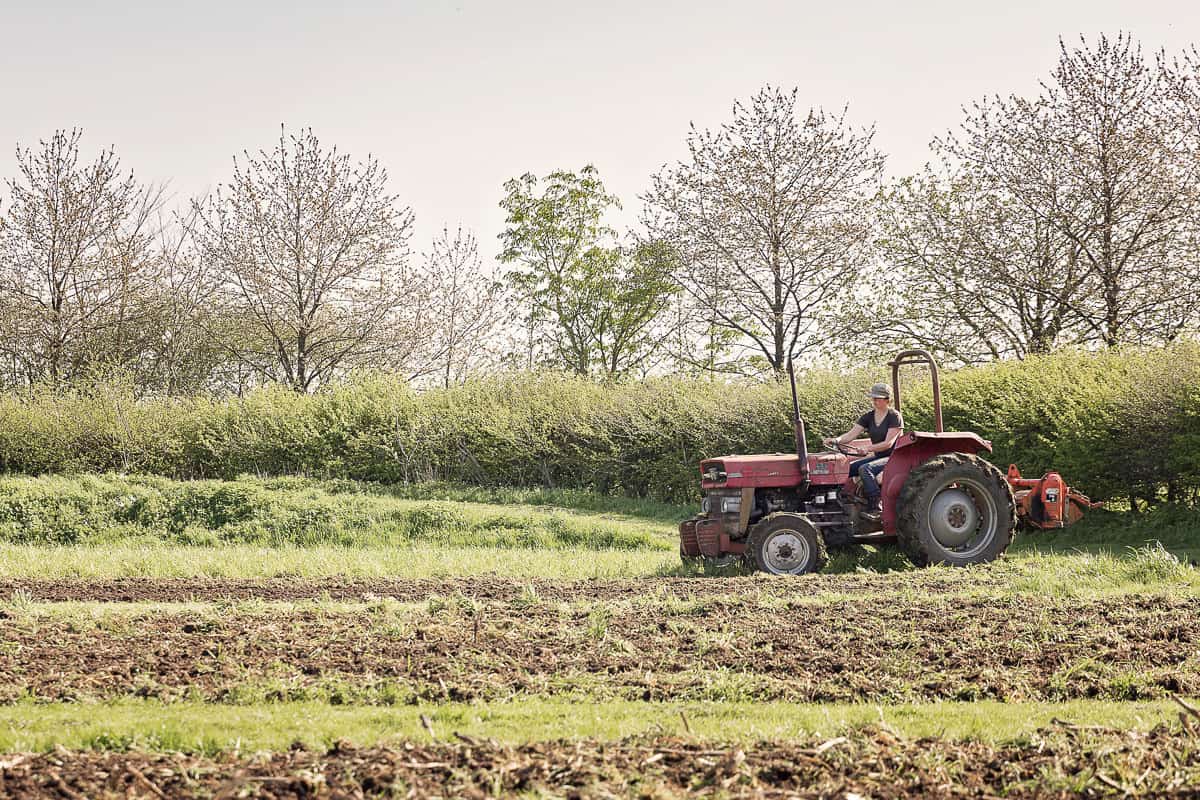 Traditional tractor working on the farm
