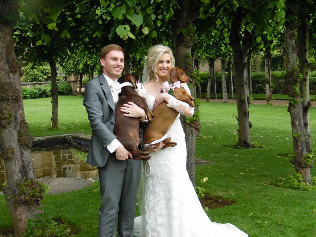 Dog day care for your wedding
