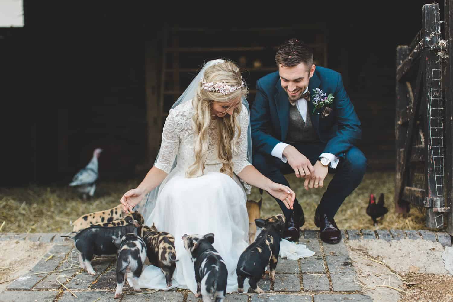 Wedding Couple Bride & Groom with Piglets