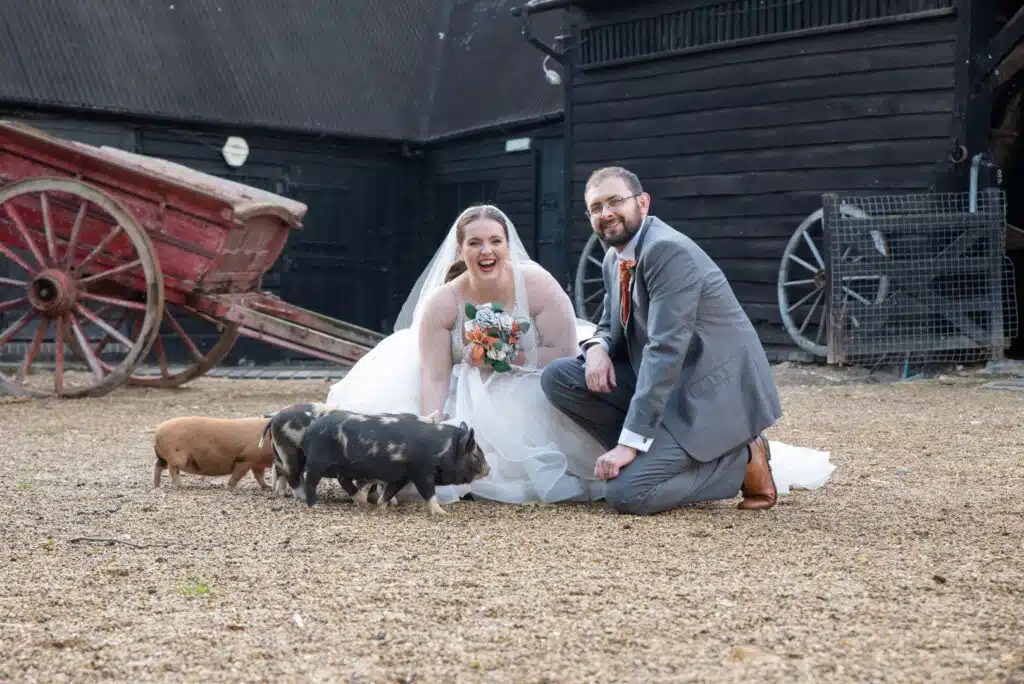Bride and Groom in with the piglets at stunning countryside wedding venue 