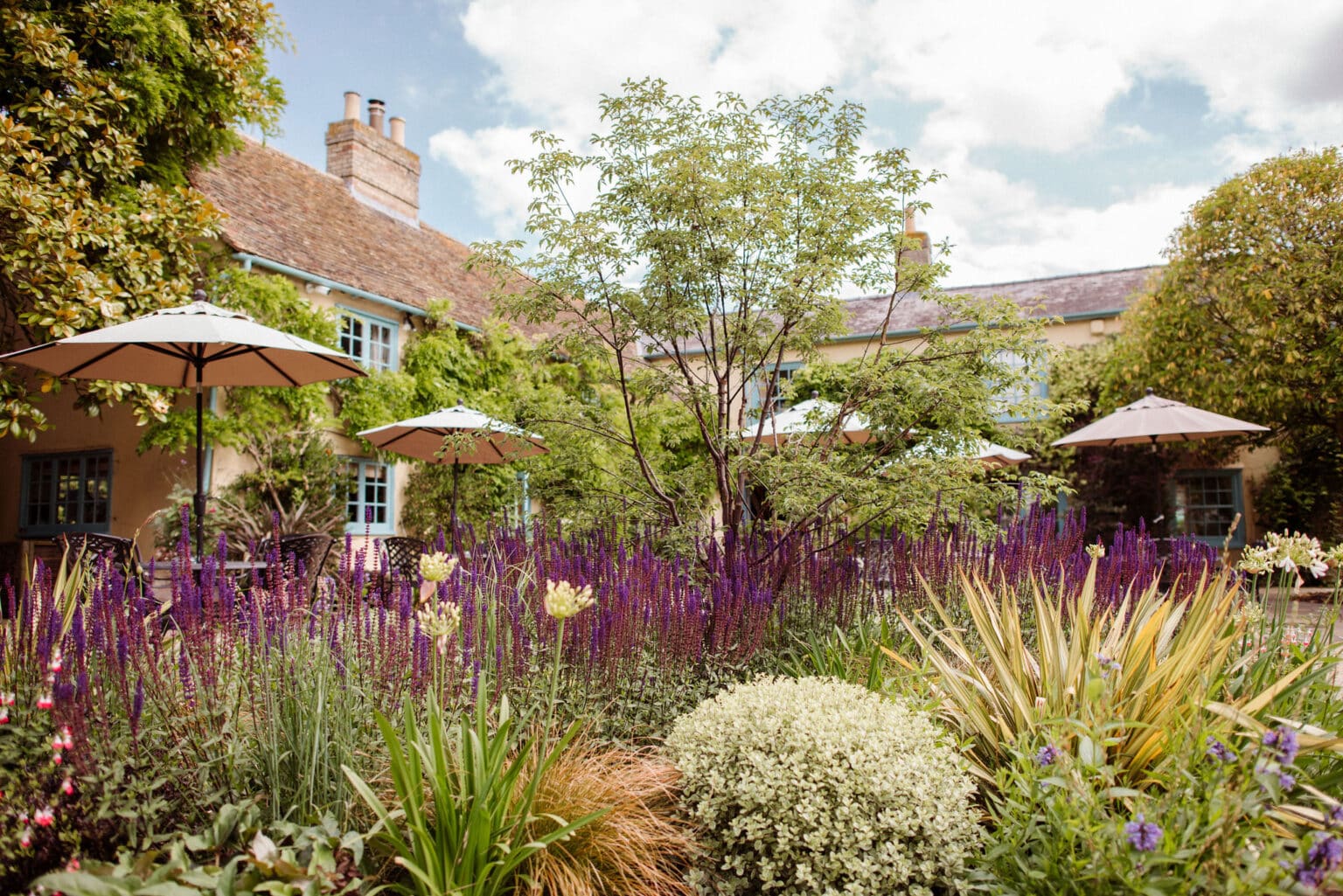 English summer garden at South Farm wedding veuw