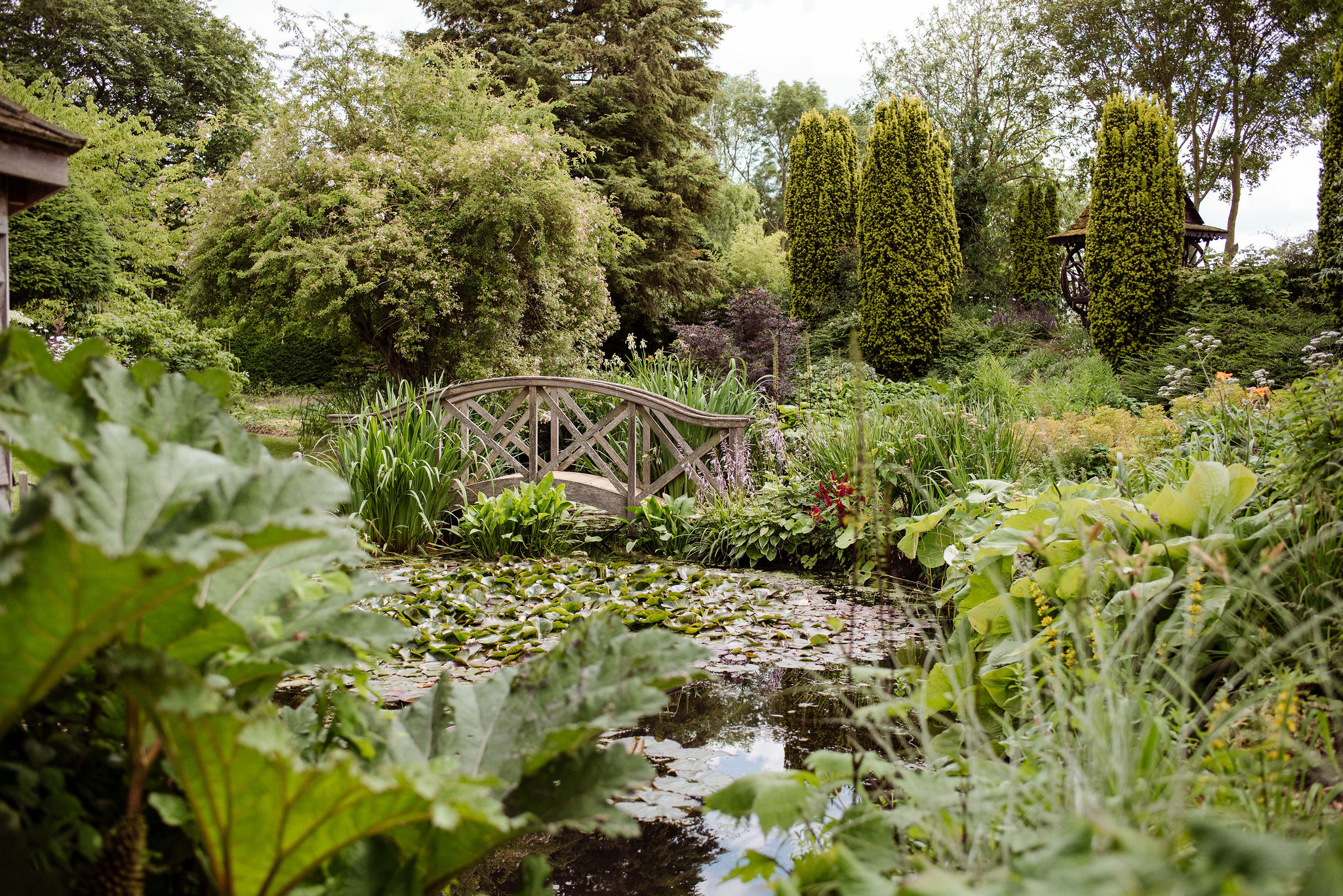 Eco wedding garden with pretty pond and garden monet bridge over pond to gardens and grounds beyond