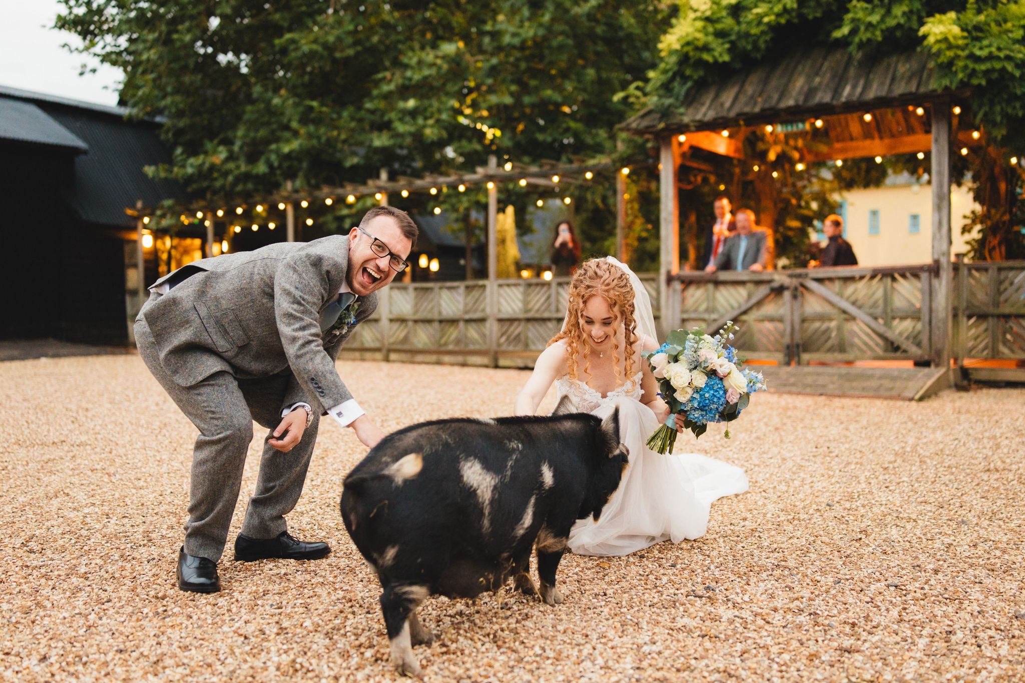 Bride and Groom having a photo with the pigs at Barn wedding venue based in Hertfordshire