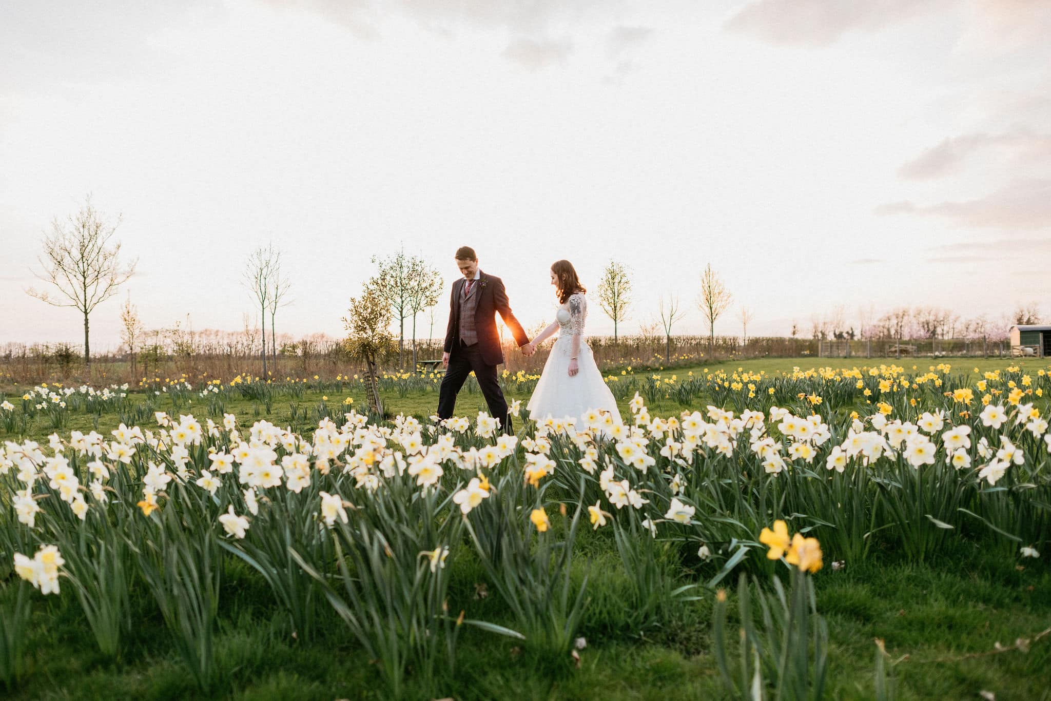 Bride and Groom walking in the daffodils at Spring time at countryside wedding venue