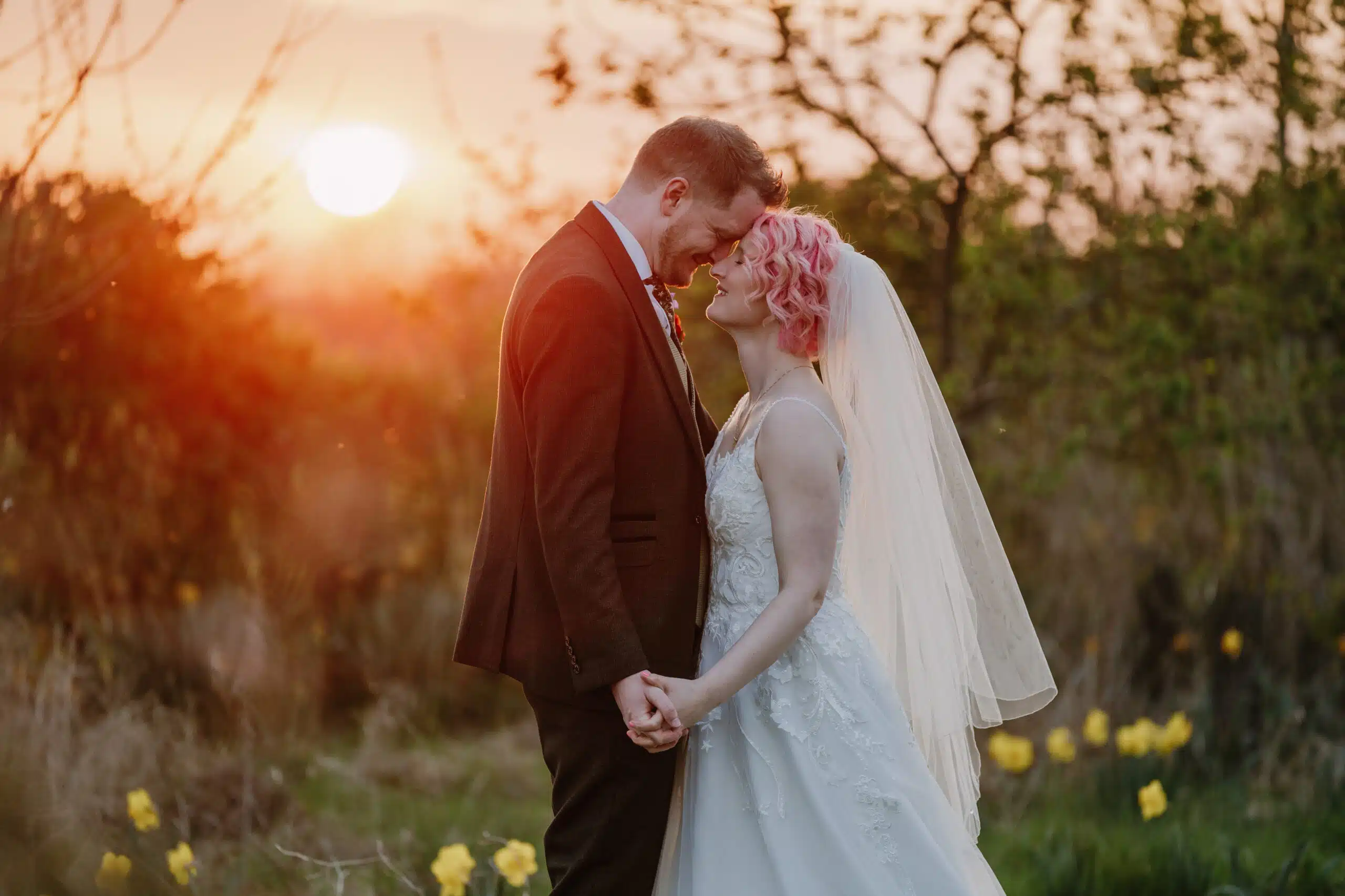 Bride and Groom at Golden Hour in amongst the yello daffodils at farm wedding venue in Hertfordshire