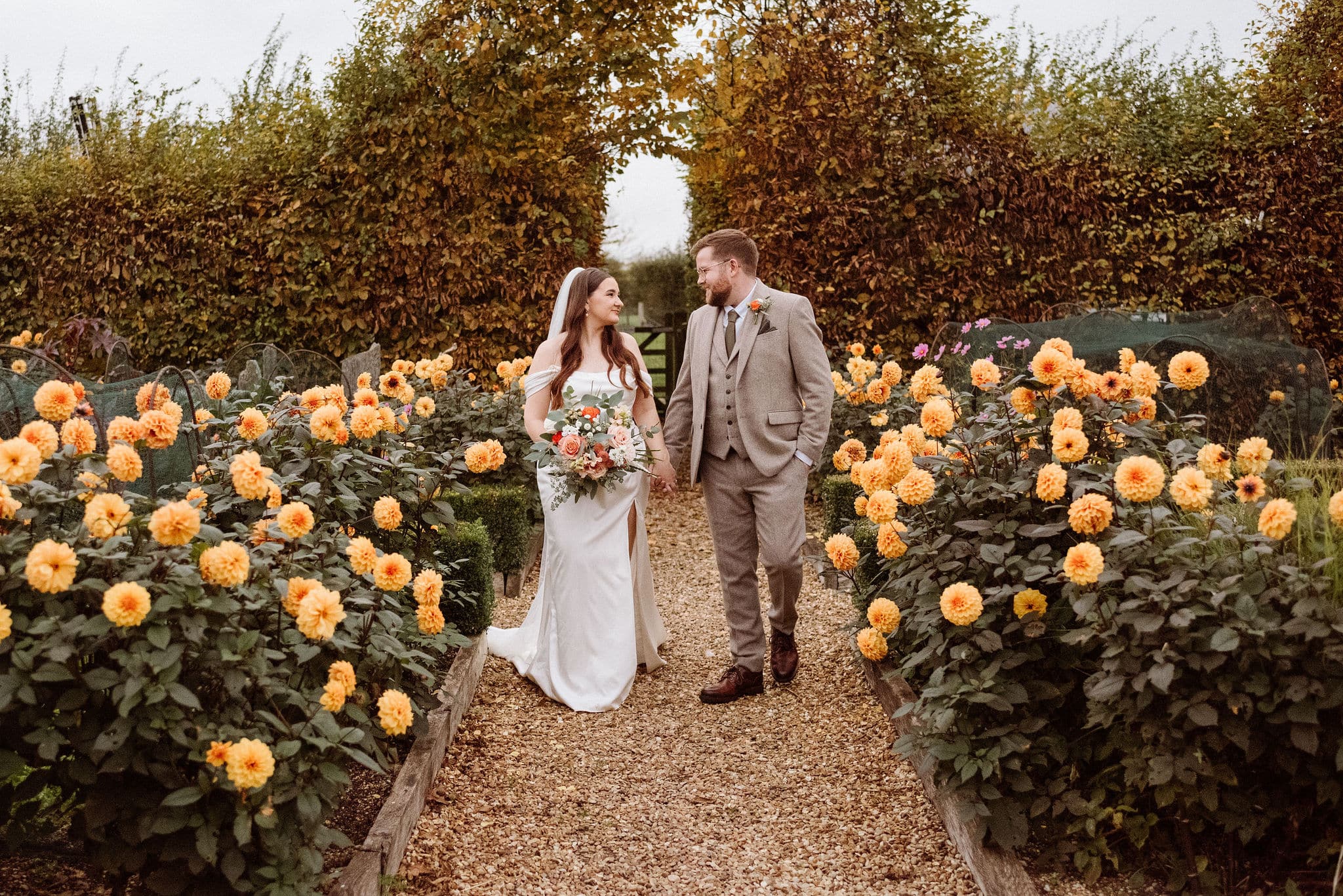 Photo of bride and groom on wedding day surrounded by orange dahlias in pretty kitchen garden