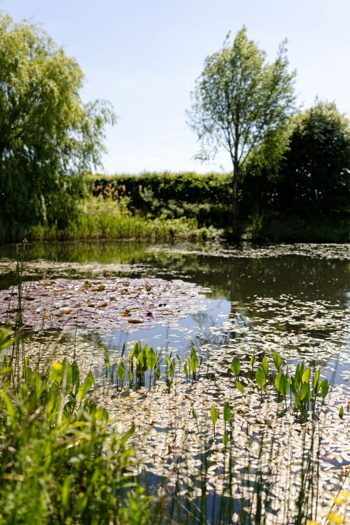 Conserving Water