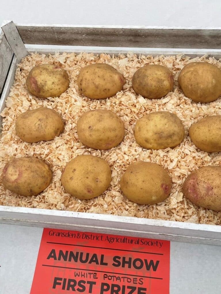 South Farm potatoes all homegrown at our eco conscious wedding venue