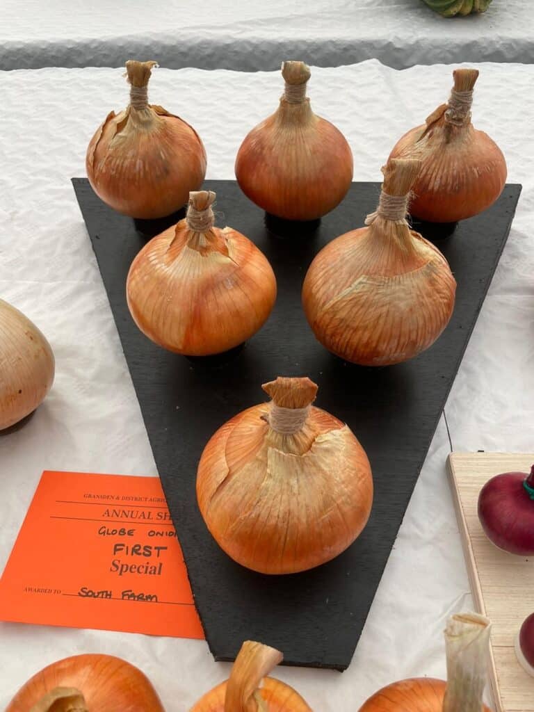 South Farm onions all homegrown at our eco conscious wedding venue