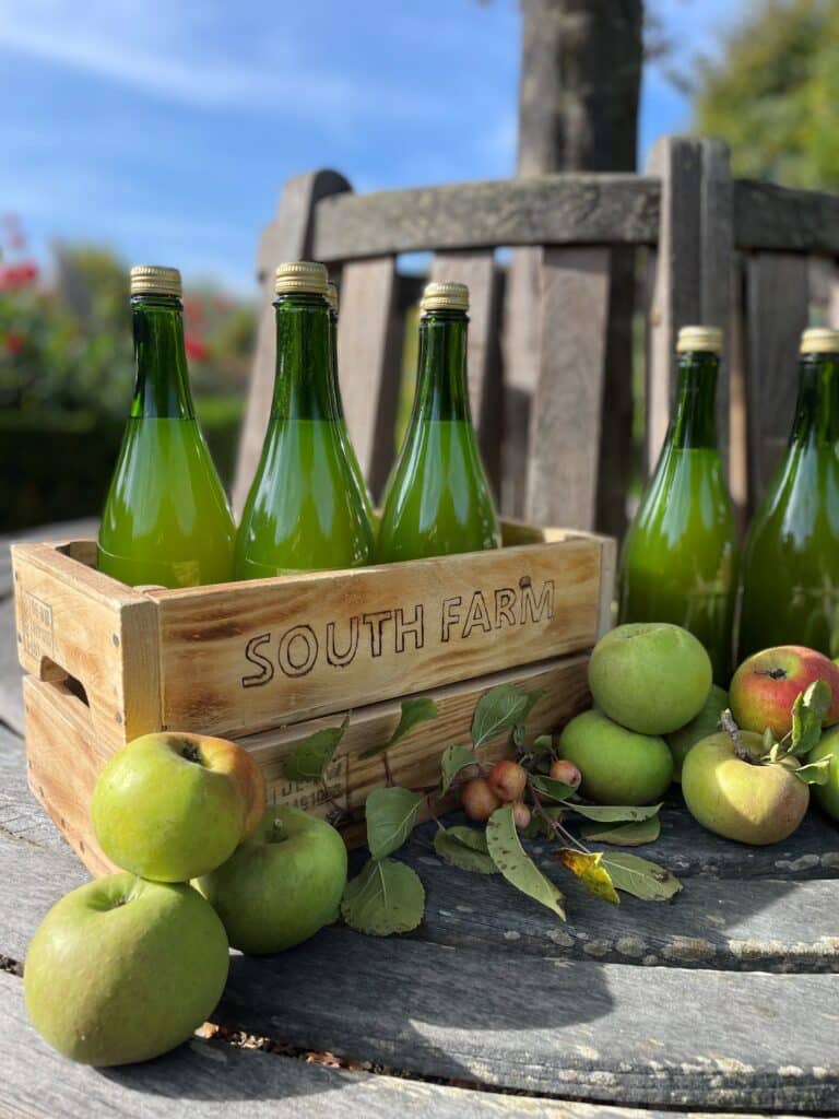 Home-grown apples and pears grown in orchard at South Farm ready to be pressed at local presse ready to be used for weddings at South Farm barn wedding venue