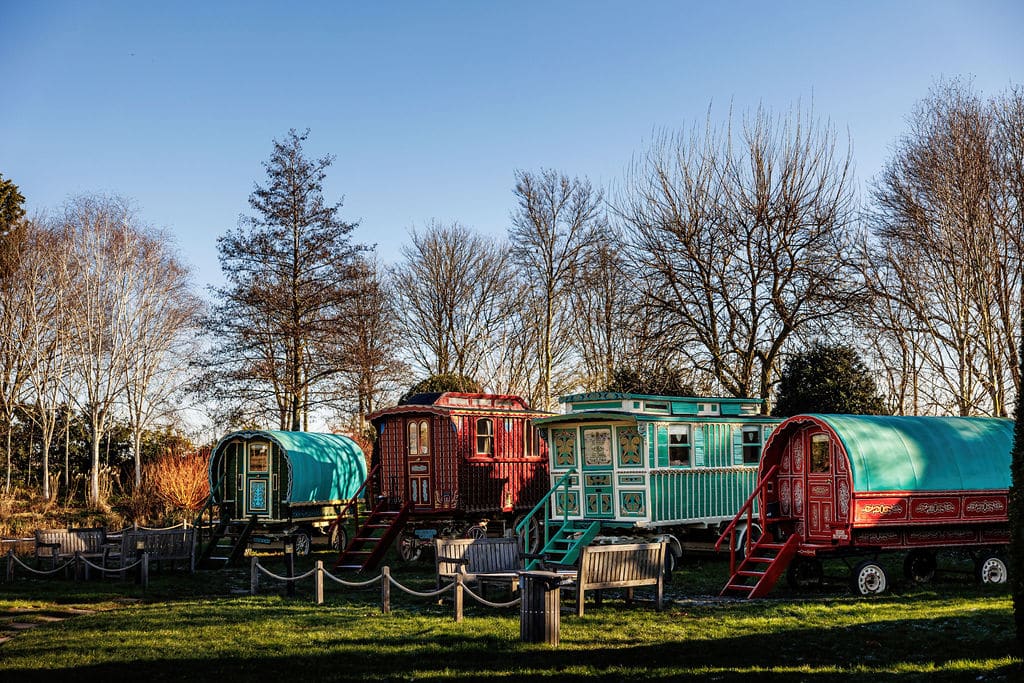 Colourful romany Wagons with a blue sky and trees in the background on a January day