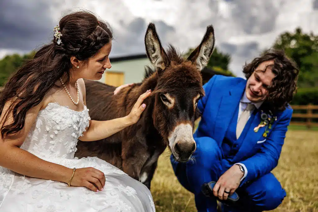 South Farm Bluebell Donkey in field with couple