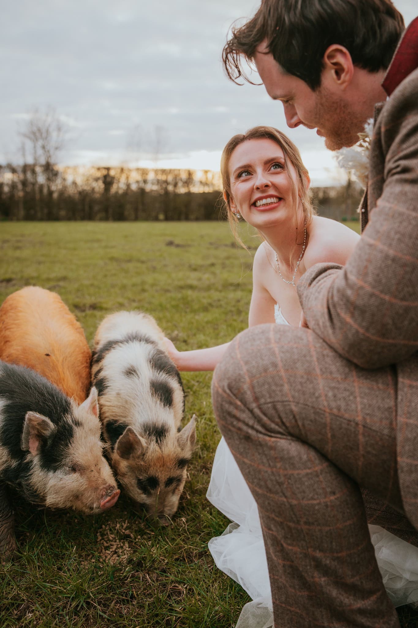 Couple interacting with pigs outdoors.